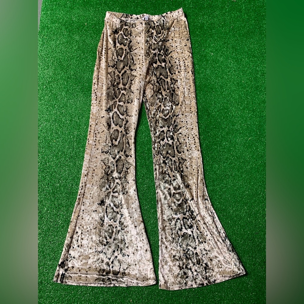 Velvet Snake Skin Flares from FN 🐍